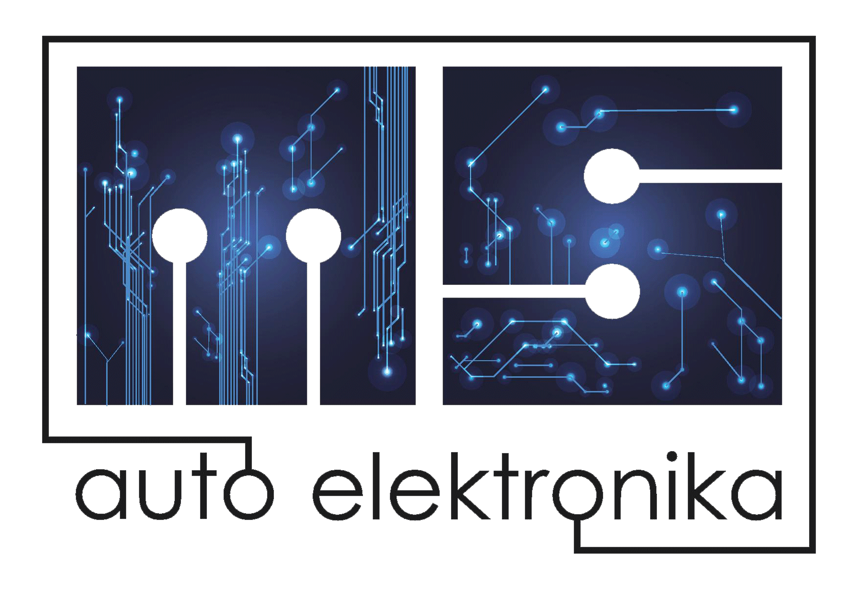 Auto elektronika MS