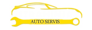 Auto servis Strahinja